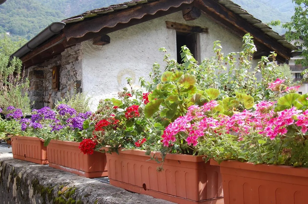 Bed & Breakfast B&B Al Mulino Piuro